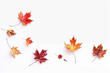 A group of vibrant red and yellow leaves on a white surface, great for autumn or nature-inspired designs
