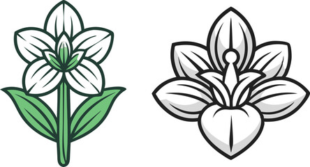 gladiolus flower silhouette vector line art icon