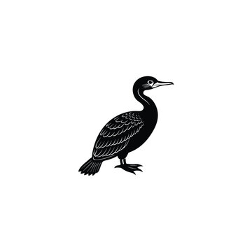 recommend clip art: cormorant bird silhouette vector