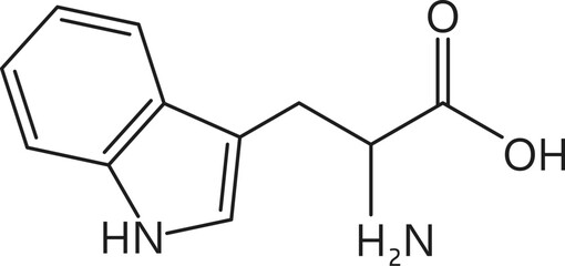 Tryptophan amino acid chemical molecule, essential chain structure. Nutritional supplement molecule compound, muscle protein chemical chain or essential amino acid science vector formula