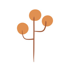 Minimal brown mathematical tree