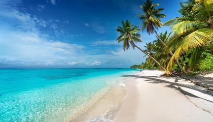 Fototapeta premium Tropical beach with turquoise water and palm trees