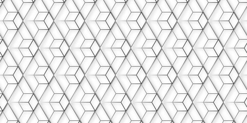 Fototapeta premium white geometric abstract transparent background. vector black stock line abstract pattern Transparent monochrome striped texture, seamless pattern, modern stylish texture. 