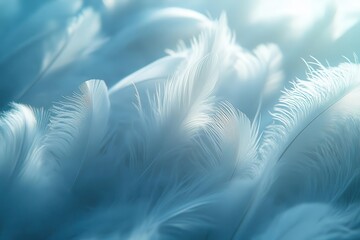 Naklejka premium ethereal background of soft floating white feathers creating a dreamy lightweight texture with subtle shadows and highlights