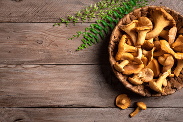 Chanterelle forest mushrooms