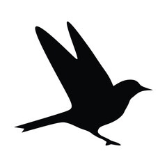 Bird icon, silhouette black vector clip art illustration
