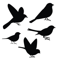 Bird icon, silhouette black vector clip art illustration