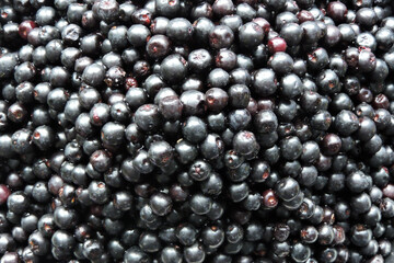 Fresh ripe aronia berries in close-up 
