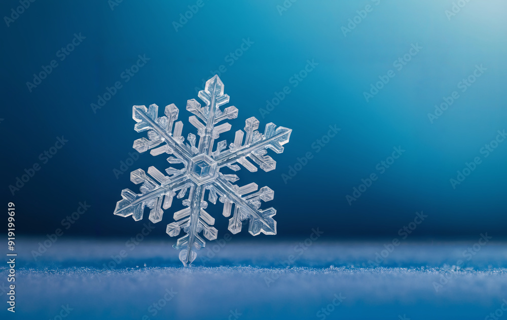 Poster a single snowflake rests gracefully on a frosty surface, showcasing intricate patterns against a cal