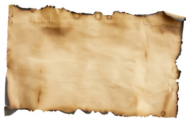 PNG Vintage burnt parchment paper