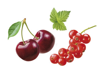 Kirschen und rote Johannisbeeren, mit Blatt