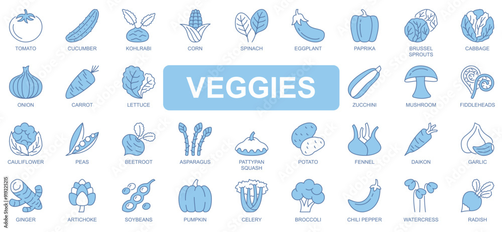 Poster veggies icons set in duotone outline stroke design for web. pack pictograms of tomato, cucumber, cor