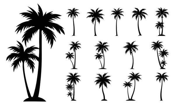 Set of palm trees silhouette