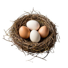 Eggs in nest isolated on transparent background