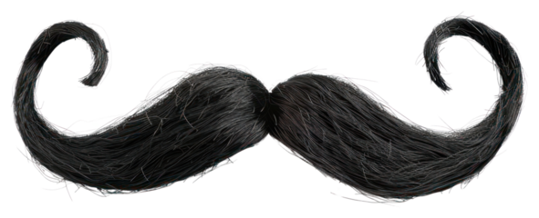 PNG Curled black mustache on white