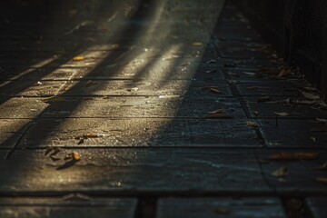A shot of sunlight shining down through the shadows of leaves on a sidewalk, great for use in images about nature, urban landscapes or even architecture