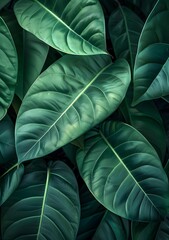 Green Tropical Leaves Background