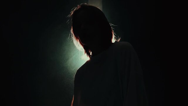 girl stands beautifully in the haze, beautiful background, dance or hand movement, studio video shooting, backlight, silhouette shadow