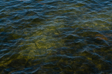 sunny spots on water 