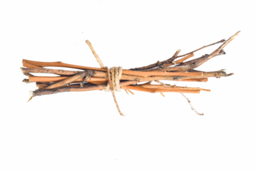 Dry branches, twigs isPine needles. Fallen dry twigs on ground. Forest floor spring season change. Dry pine needles are a fire hazard. Dried brittle needles areolated on white background, 