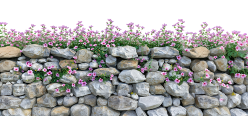 Beautiful stone wall flowers