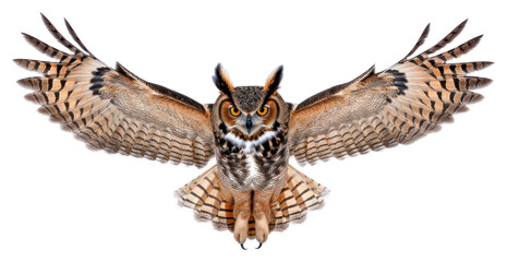 Fototapeta premium PNG A Great Horned Owl gracefully spreading its wings with talons extended owl animal bird.