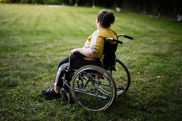 Obraz premium Person in wheelchair enjoying a serene moment in a green field