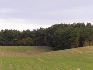 Green field and hills. Nature of northern Poland.