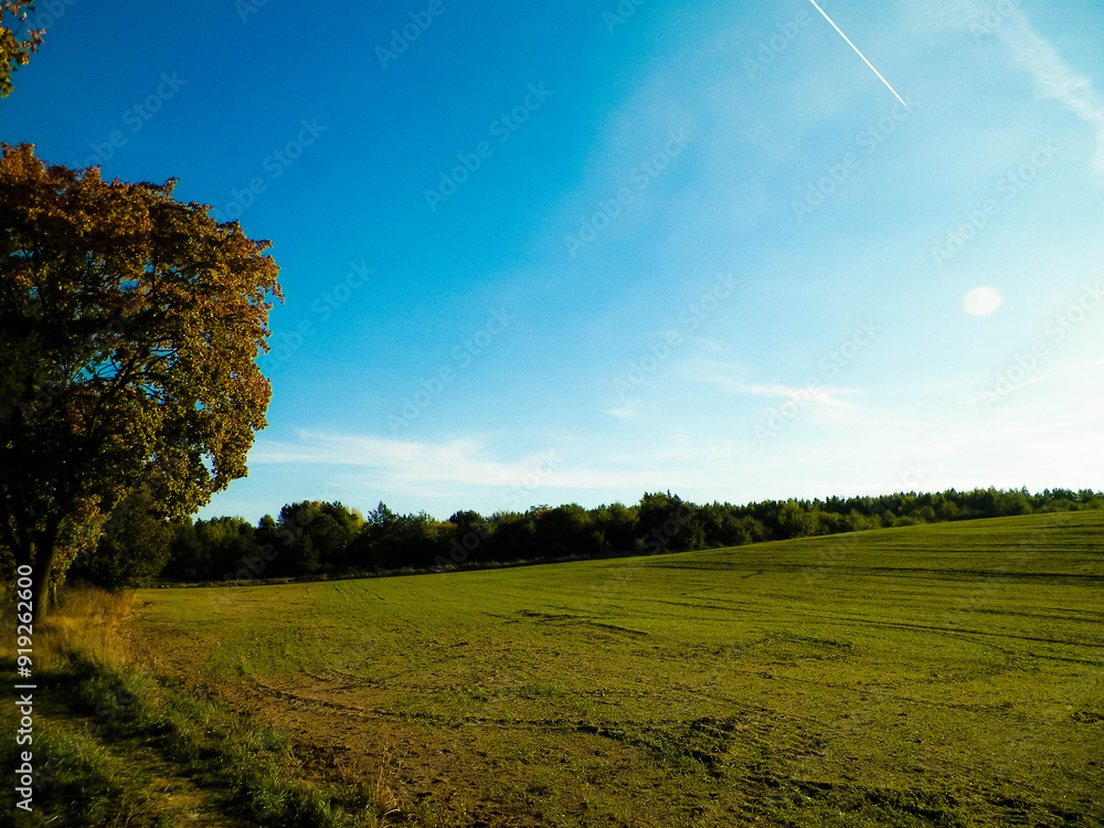 Poster end of summer - autumn trees and fields. mechelinki, poland.