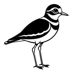 Killdeer Vector Illustration – Cute Cartoon Animal Logo, Funny Clipart for Graphic Design