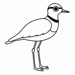 Killdeer Vector Illustration – Cute Cartoon Animal Logo, Funny Clipart for Graphic Design