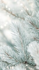 Frost covers the pine branches, glistening in the gentle morning sun, while a peaceful winter atmosphere envelops the surrounding landscape