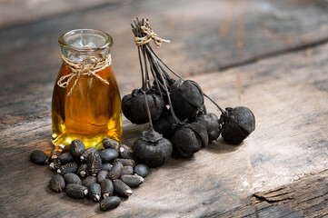 Jatropha curcas dried seeds , fruits and oil on an old wooden background.