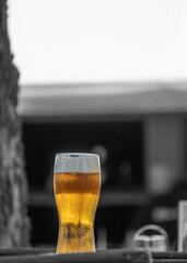 pint of beer cool drink cider