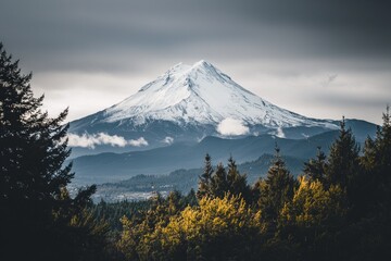 Fototapeta premium A white snow-capped mountain peak rising above a dark, dense forest. 