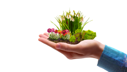 Garden of flowers and plants in the palm of the hand isolated on transparent background.