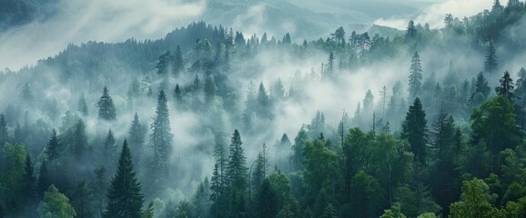 Misty Mountain Forest Landscape