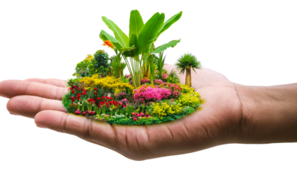 Garden of flowers and plants in the palm of the hand isolated on transparent background.