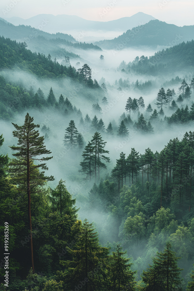 Poster a dense fog rolling through a valley, with the whispers of the wild blending with the soft sounds of