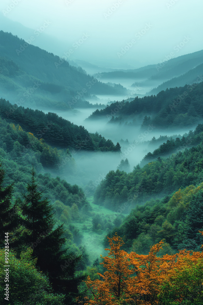 Poster a dense fog rolling through a valley, with the whispers of the wild blending with the soft sounds of