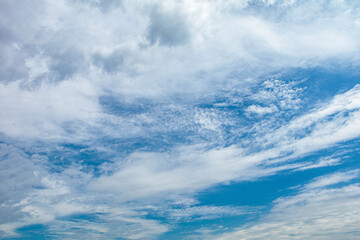 青空に広がる白い薄雲