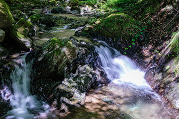 小川の清流の流れ