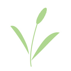 Obraz premium ねこじゃらしのシンプルなイラスト