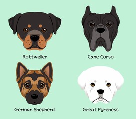 Popular large dog breeds Face character illustration