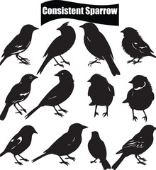 Obraz premium Sparrow Minimalist Black Silhouette Vector Collection