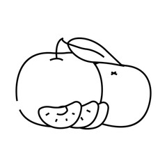 peeled mandarin peel line icon vector. peeled mandarin peel sign. isolated contour symbol black illustration