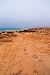 sand dunes on the beach