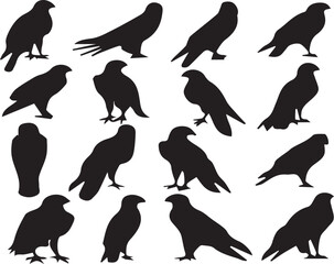 Obraz premium Crow Shadowy Silhouette Vector Art Pack
