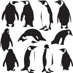 Naklejka premium Penguin Artistic Silhouette Elements in Black