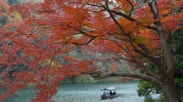 Fall season in Kyoto, Japan, tourists enjoying a serene boat ride on the Katsura River, surrounded by the vibrant fall foliage. 
